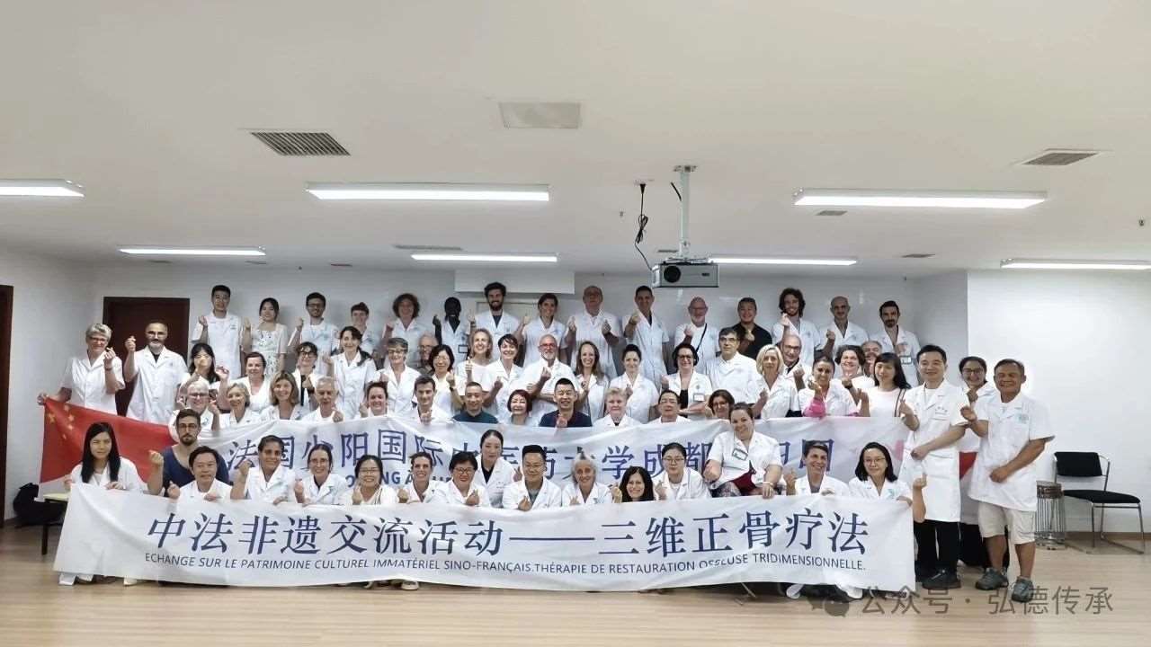 中法非遗交流会——三维正骨疗法圆满成功