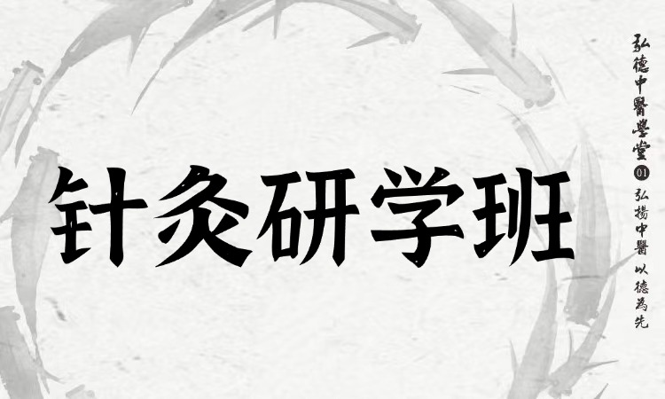 针灸研学班