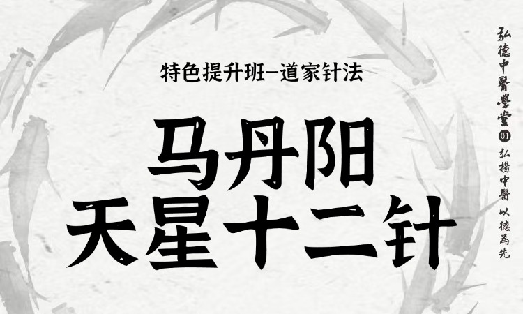 马丹阳-天星十二针
